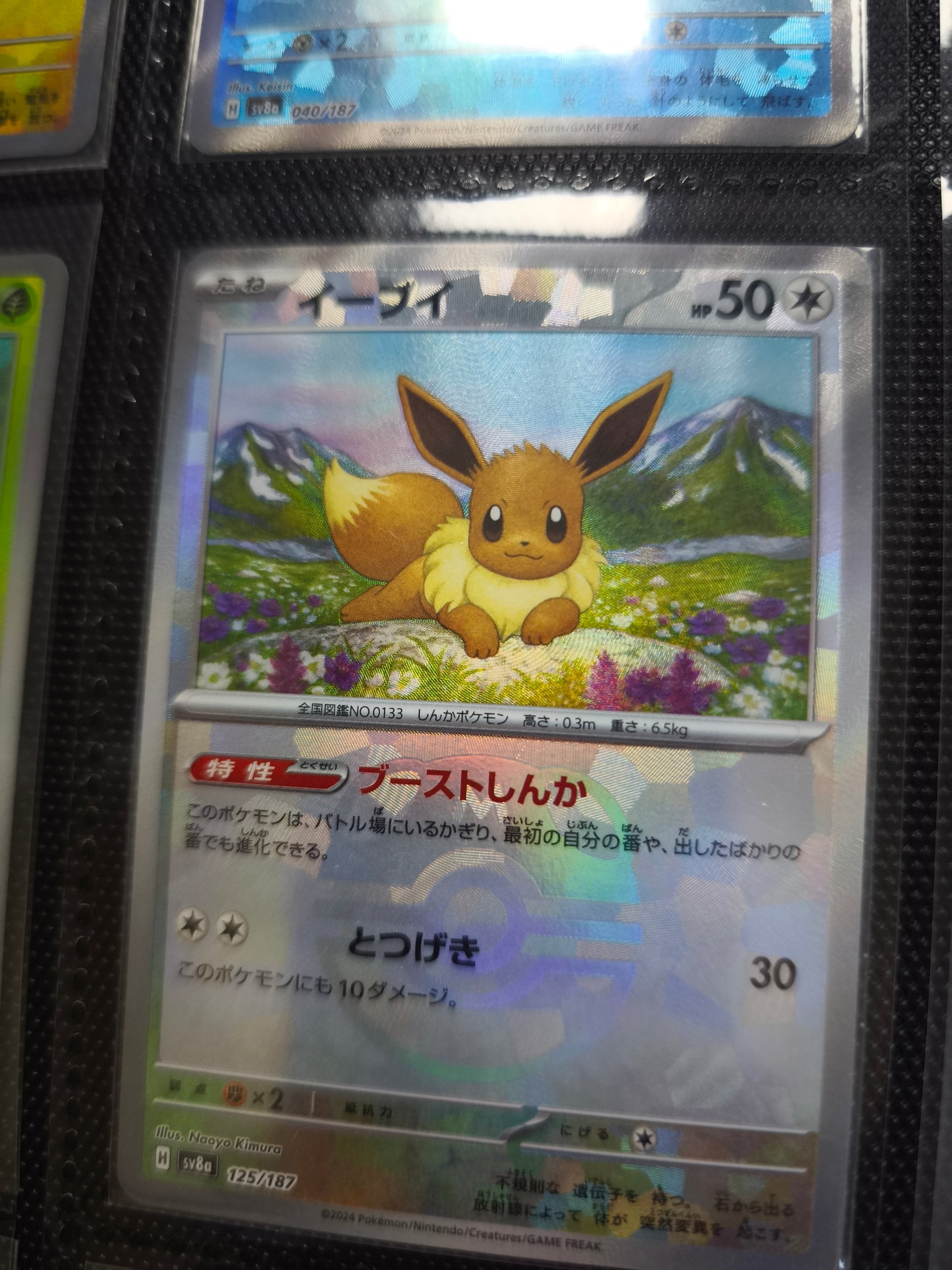 Terastal Festival Eeveelution Masterball Set Near Mint
