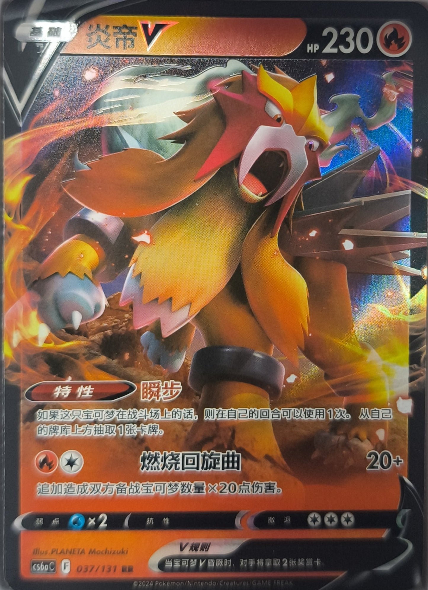 Entei V (CS6aC 037) Azure Shadow - Roar - Lachsnacken-Shop