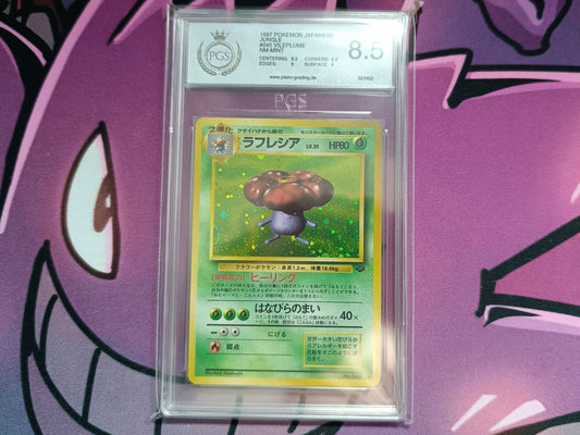 Giflor Jungle Set Japanisch PGS 8,5