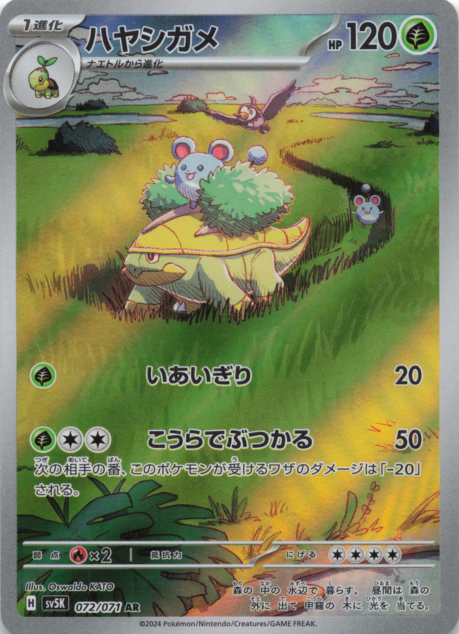 Grotle Art Rare SV5K: Wild Force 072/071 NM Pokemon TCG