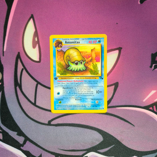 Amonitas Fossil First Edition