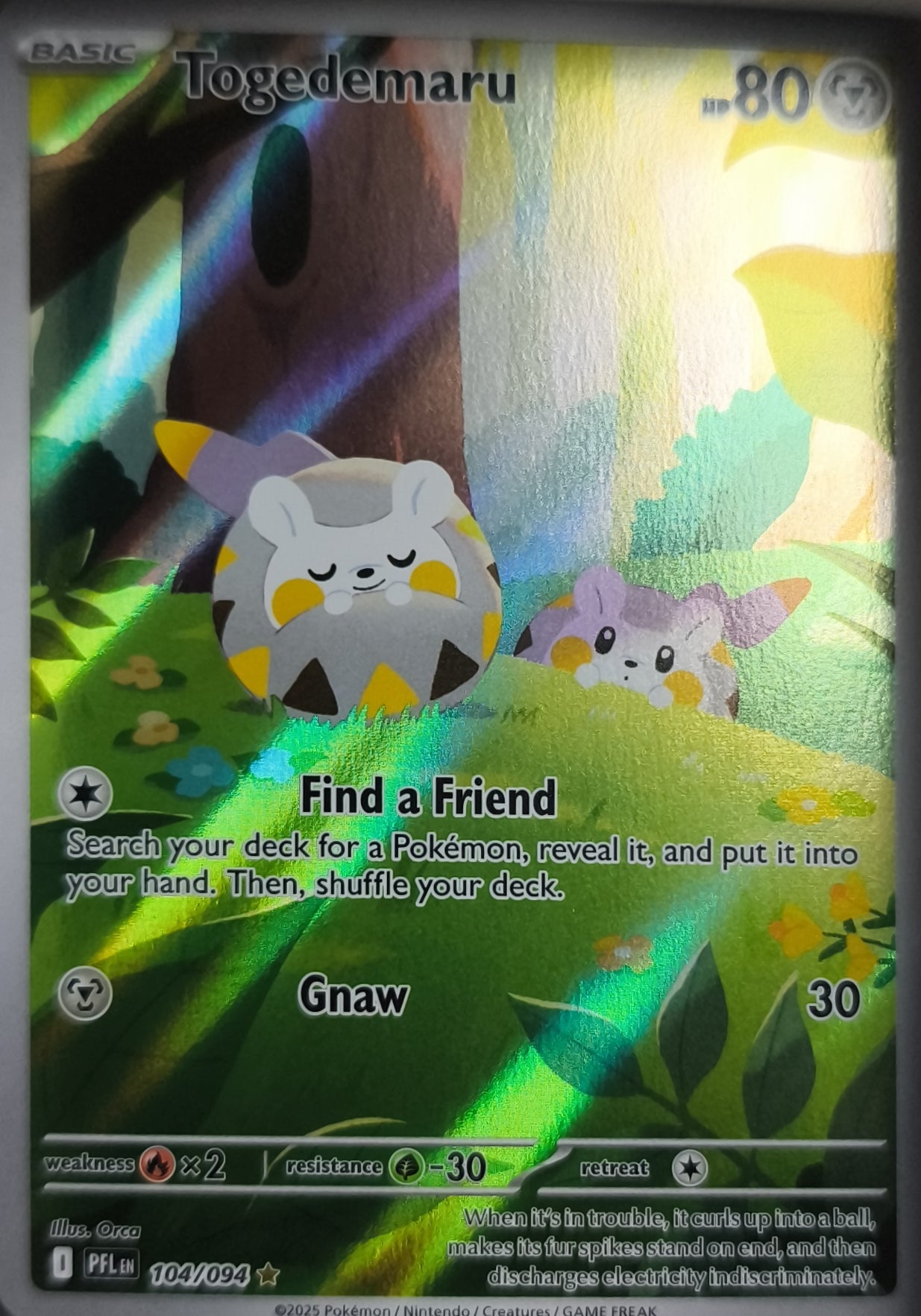 Togedemaru Fatale Flammen Englisch NM Pokemon TCG - Lachsnacken-Shop