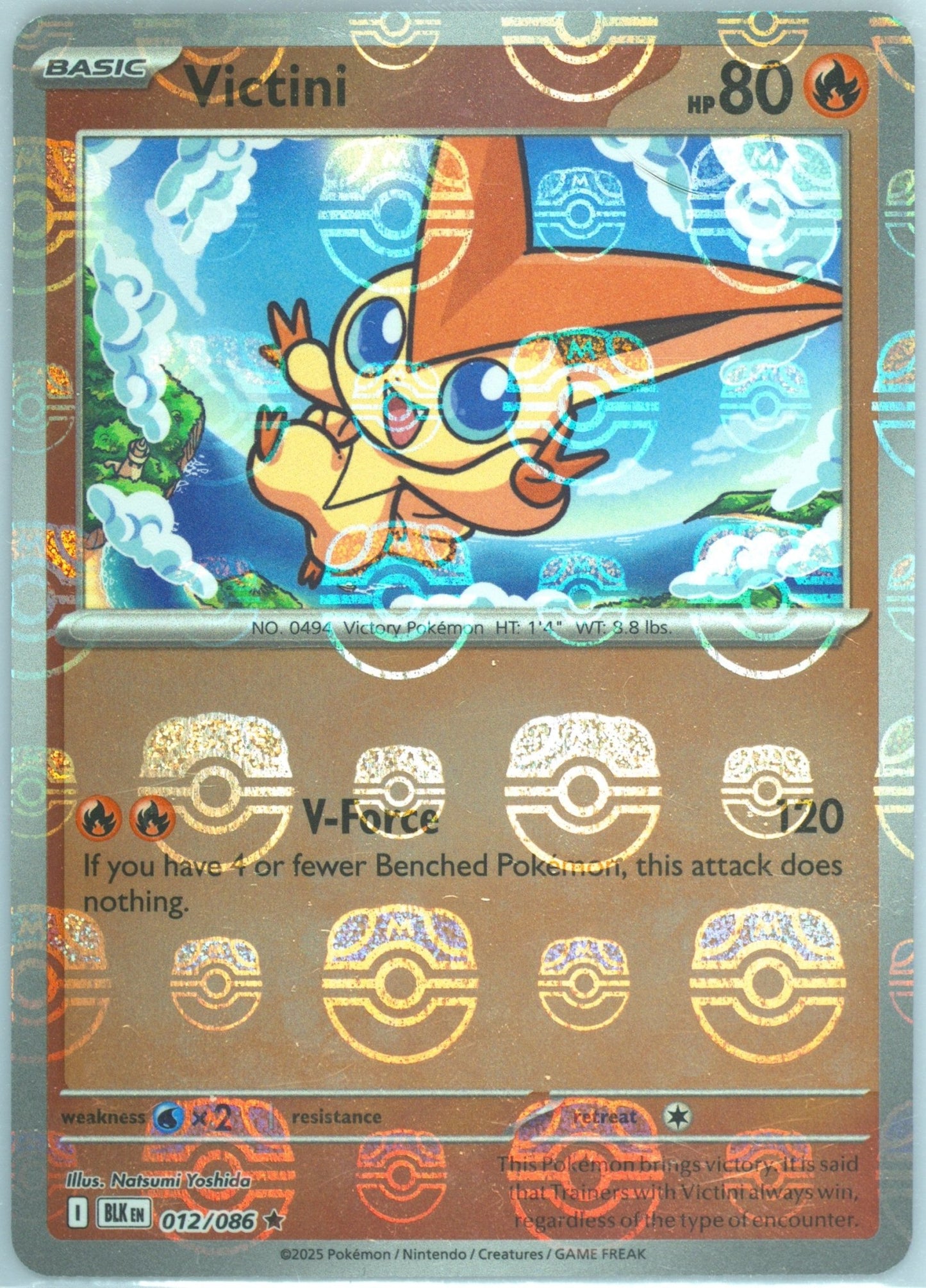 Victini Meisterball Englisch Schwarze Blitze Weiße Flammen NM Pokemon TCG - Lachsnacken - Shop