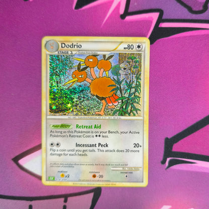 Dodri Classic Kollektion Boosterfrisch