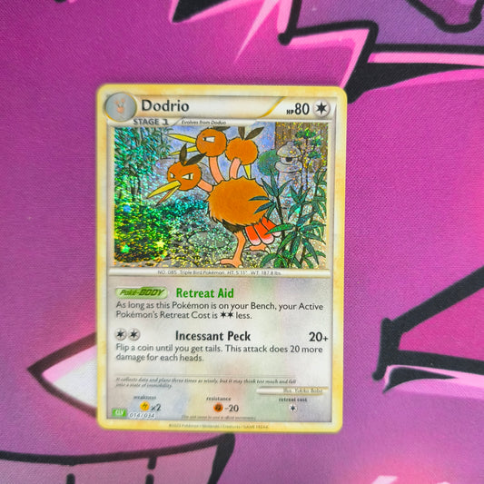 Dodri Classic Kollektion Boosterfrisch