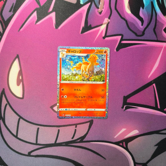 Gallopa Boosterfrisch