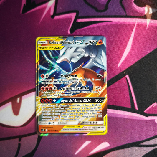 Reshiram & Glurak Tag Team (Sprache ??)