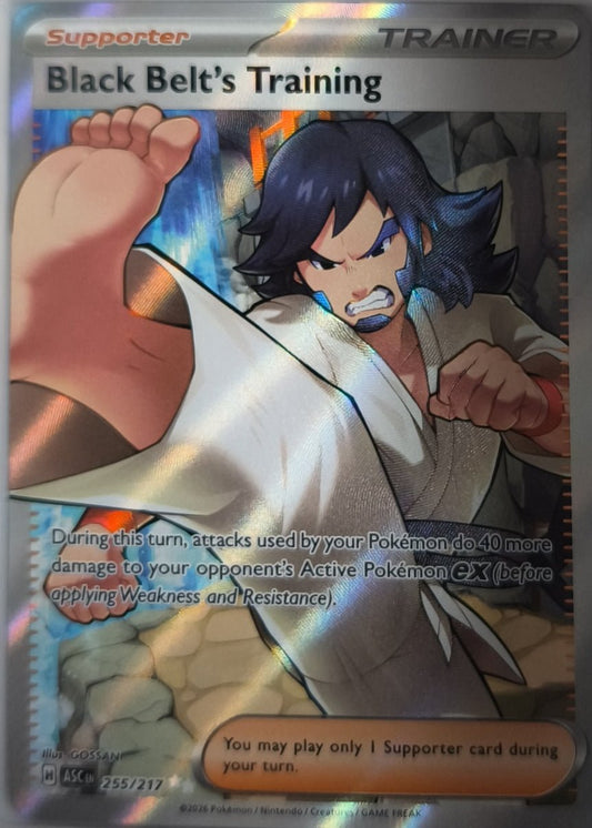 Schwarzgurt Training Erhabene Helden NM Englisch Pokemon TCG - Lachsnacken-Shop