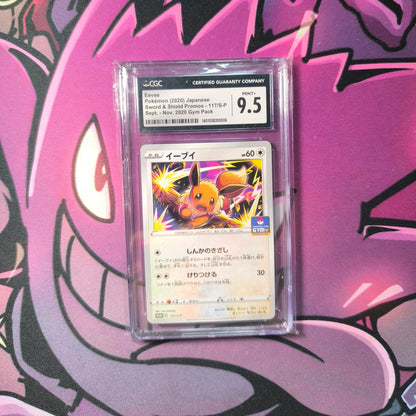 Evoli Gym Pack CGC 9.5