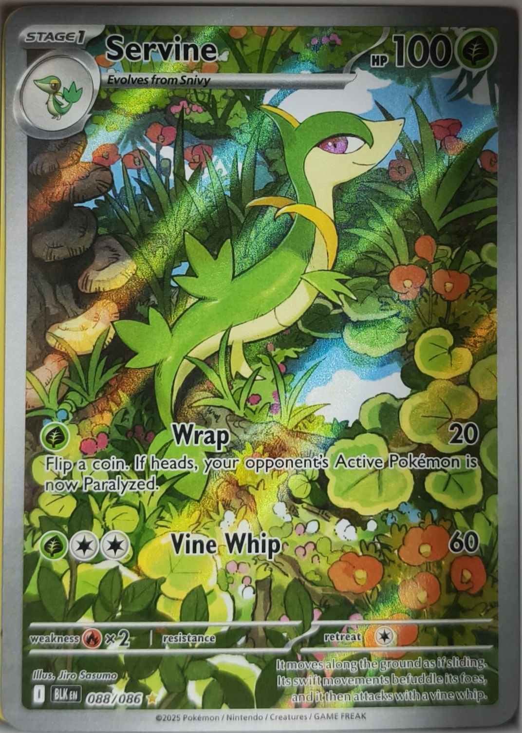 Efoserp 088/086 Schwarze Blitze NM Englisch Pokemon TCG - Lachsnacken-Shop
