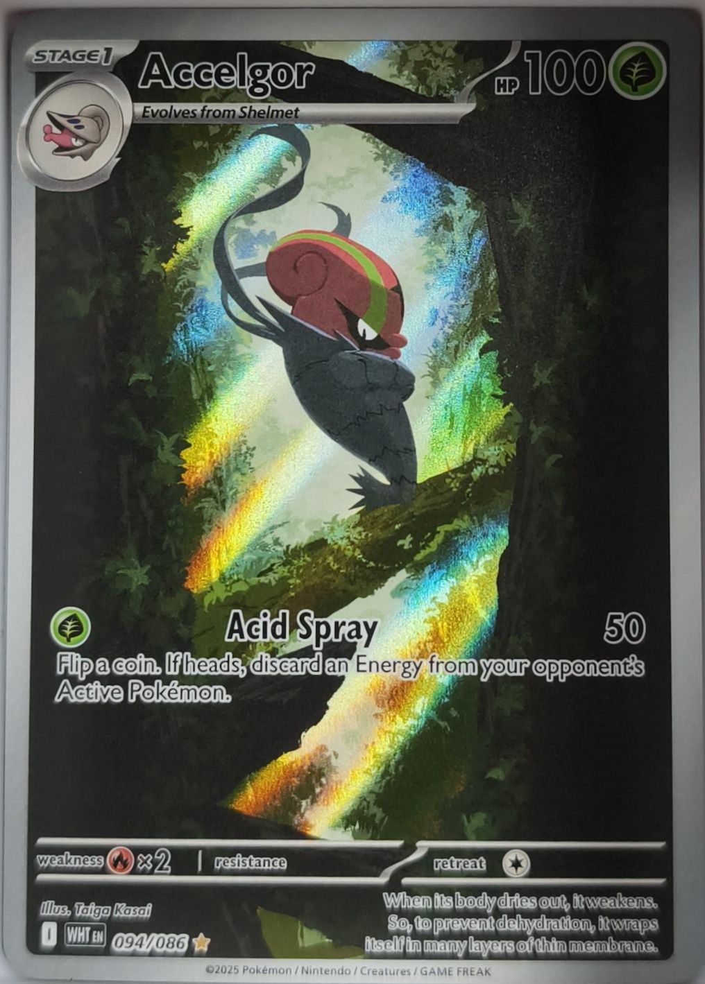 Hydragil 094/086 Weiße Flammen Pokemon TCG - Lachsnacken-Shop