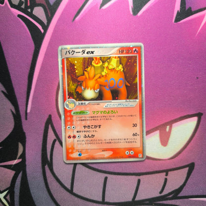 Camerupt EX Holo Boosterfrisch