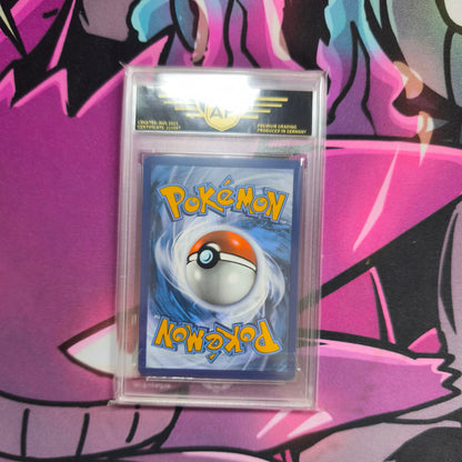 Schillok Classic Collection AP Grading 8,5