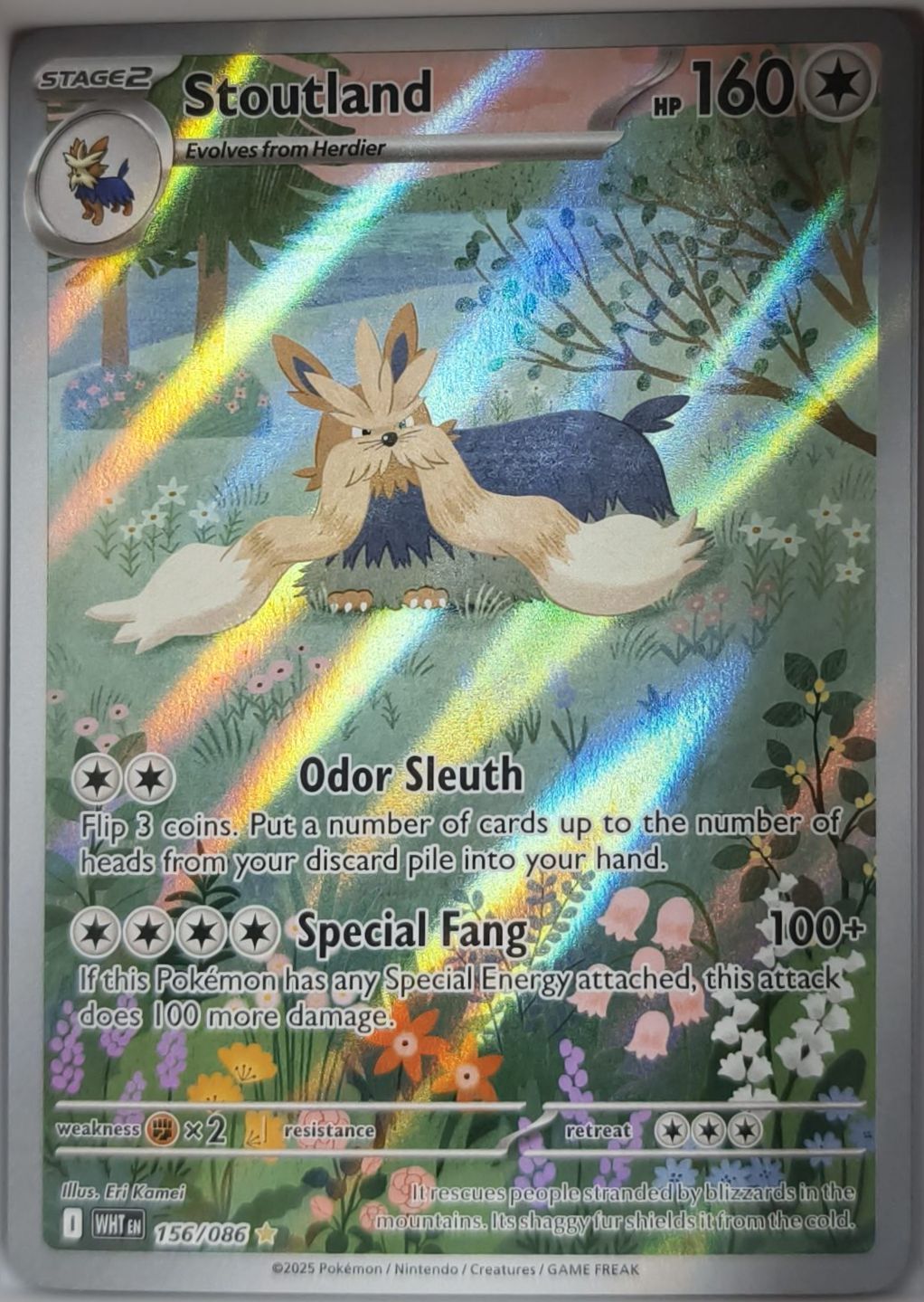 Bissbark 156/086 Weiße Flammen Pokemon TCG - Lachsnacken-Shop