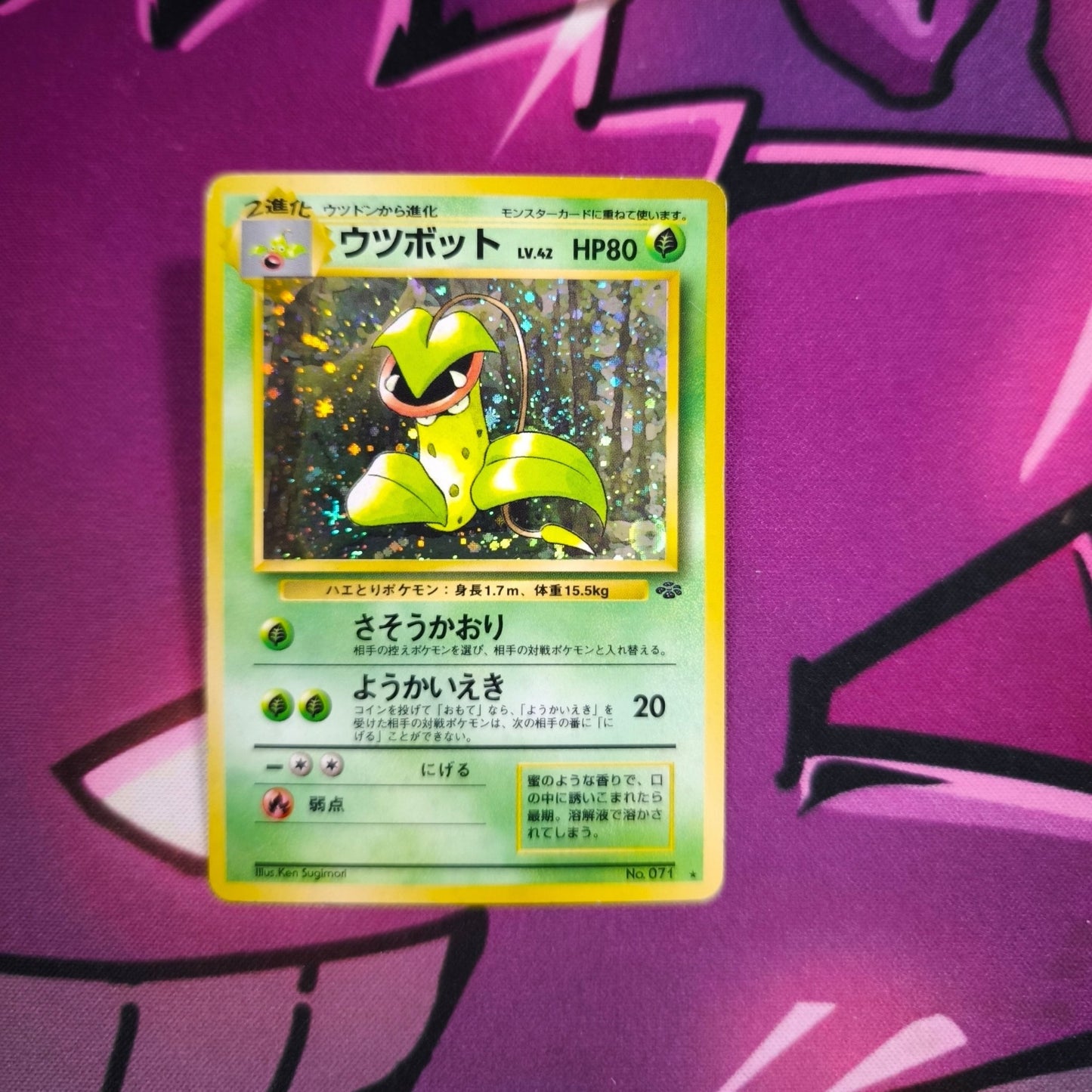 Sarzenia Jungle Japanisch Zustand: Excellent Pokemon TCG - Lachsnacken - Shop