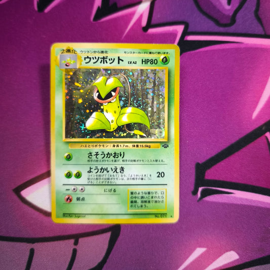 Sarzenia Jungle Japanisch Zustand: Excellent Pokemon TCG